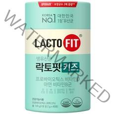 종근당건강 락토핏 키즈 유산균 60p, 60포, 1개