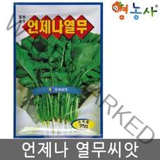 언제나 열무씨앗 25g, 언제나열무 25g