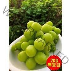 김천샤인머스켓 샤인머스캣 선물용 특등급 2KG 4KG, 샤인머스켓 2KG