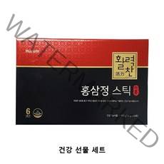 휴럼 활력찬 홍삼정 스틱 10g x 60포 2개월분 쇼핑백 포함 코스트코 선물세트