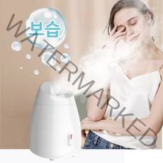 keka 얼굴 스팀기 과채 페이스 스티머 나노 미스트기 수분 공급 보습 120ML 물탱크, 화이트
