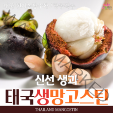 2023년 첫수확 태국 생망고스틴3kg(30-40ea내외) 항공입고 열매 중의 여왕