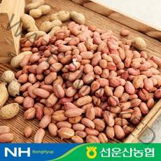 [선운산농협] 22년 햇 국내산 고창 생 알땅콩 1kg, 1개