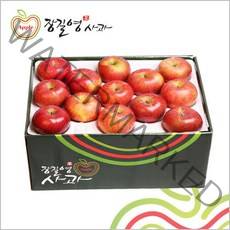 장길영사과 사과 왕특대과 10kg(20∼26과)