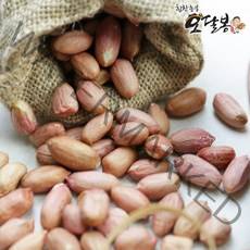 [특품] 2022년산 햇 국산 생땅콩 날땅콩 국산땅콩, 1개, 1kg