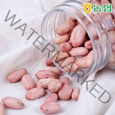 [감동] 고창 대성 농협 땅콩, 1box
