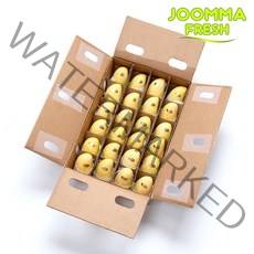 [줌마망고] 직수입 필리핀 카라바오 꿀 생망고 1kg 2kg 4kg 5kg, 카라바오망고 S 24과 5kg