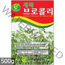 청농종묘 대용량 브로콜리 새싹 씨앗 500g 새싹씨앗 브로콜리새싹씨앗 새싹브로콜리 브로컬리 새싹브로컬리, 02_새싹대용량_브로콜리(500g)