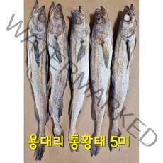 [설악 황태] 통황태 용대리 통황태 5미 (용대리 직송) 국내 자연 건조 통황태 5마리, 대 (38 ~ 40cm), 1개