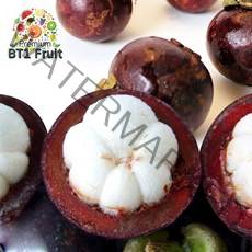 특大생망고스틴500g(4~6과) x 3망, 상세 설명 참조
