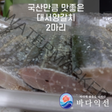 [바다익선] 제주갈치 만큼 맛있는 세네갈갈치 2마리 구이 조림 수입