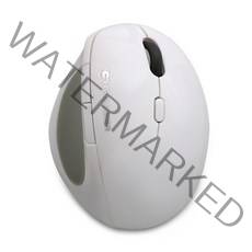 G-Clicker 인체공학 무소음 무선 버티컬 마우스 GM-W810, 화이트