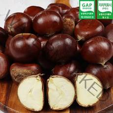 2022년 공주 정안 옥광밤 2kg 4kg (중 대 특) 햇밤 공주밤 정안밤 산지직송 GAP인증, 공주 옥광밤 중 2kg, 1개