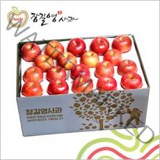 장길영사과 장길영 프리미엄사과 10KG 중과(33-39과) 청송사과 산지직송, 1세트