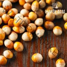 [농부의정성] 전북정읍 박경철님의 깐은행 1kg(대), 1개