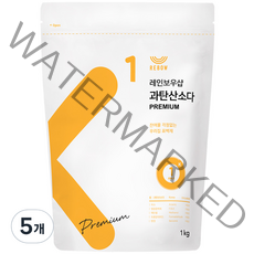 레인보우샵 과탄산소다 산소계표백제 프리미엄, 1kg, 5개