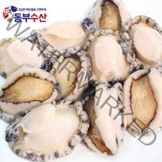 주문즉시 당일손질 손질전복(대) 5마리 10마리 생전복, 1개, 당일손질 대전복 5마리