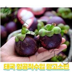 프리미엄 열대과일 태국 항공 직수입 고당도 생 망고스틴 1kg 2kg 3kg, 생망고스틴 2kg