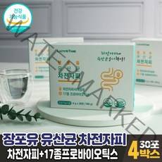 차전자피 유산균 분말 가루 스틱 차전자 차전차피 자전차피 식이섬유 식약처 인증 건강기능식품, 4개, 30포