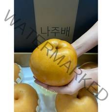 나주 22년 수확 신고배 명절 명품 특품 나주 배 7500g, 햇배 특품 선물용 7.5kg(7~10과), 1개