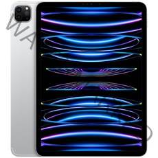 Apple 정품 2022 아이패드 프로 11 4세대 M2칩, 실버, 2TB, Wi-Fi+Cellular