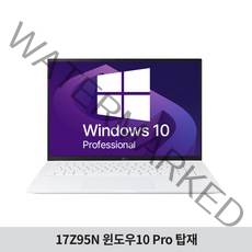 [Win10Pro] LG 그램17 gram 17Z95N-GP50ML 인텔i5 사무용 기업용 노트북 추천, 윈도우10Pro, 8GB, 256GB, 코어i5, 화이트