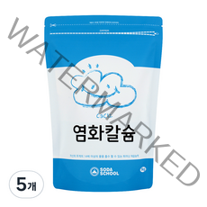 소다스쿨 염화칼슘 제습제 리필, 1kg, 5개