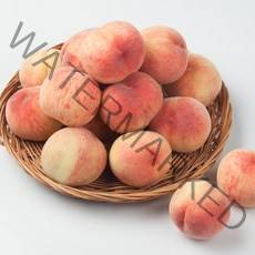 [달찐과일] 23년 첫수확 하우스 복숭아 1kg 2kg 당일수확발송, 하우스복숭아 1kg (중소과/7-9과)