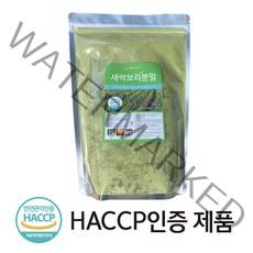 새싹보리 분말가루 500g 1개 국내산 HACCP 인증제품 SOD효소