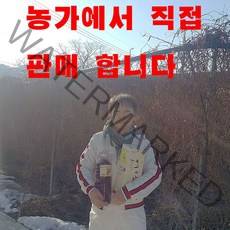 문경오미자 유정농원 오미자청 원액1000ml 당일발송, 1000ml