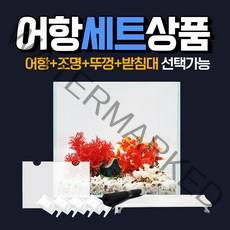 청룡아쿠아 30배럭 6T 올디아망 조명 뚜껑 세트선택 30X45X45cm 6T 초백어항, 세트3)30배럭6T+매트+조명YZ-300