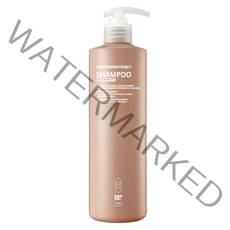 바디버든프로젝트 지성 샴푸 로즈마리향, 500ml, 1개
