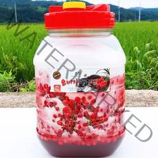 2022년 문경 햇 오미자 당절임 6kg 10kg, 6kg (자일로스3kg+오미자생과3kg)