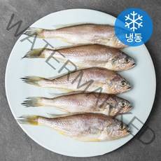 아라장 반건조 참조기 (냉동), 1팩, 420g(5마리)