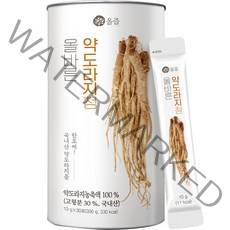 올즙 올바른 약도라지 청, 10g, 30개