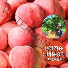 2023 첫출하 신비복숭아 천도복숭아 딱딱복숭아, 신비 1kg 중소과, 1개