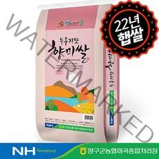 [강원오대쌀] 22년 햅쌀 자연중심 누룽지맛 향미쌀10kg 양구군농협, 10kg, 1개
