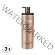 비더살롱 크리닉 트리트먼트 샴푸 중건성용, 1000ml, 3개