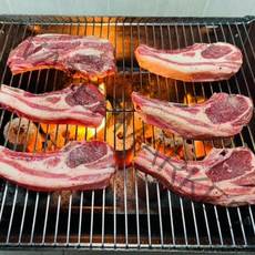양갈비 프렌치렉 600g(6대) 호주산 1년미만 램, 1개