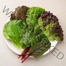 친환경 인증 국내산 야채모듬쌈, 500g, 1봉