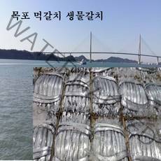갈치 풀치 10마리 1kg전후 목포, 1kg 내외(10마리), 1개