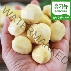 (자연마을) 22년 유기농 햇밤 수작업 깐밤 공주 정안밤 250g 500g 맛밤 알밤 단밤 생율, 1개