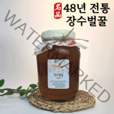 장수벌꿀 야생화 천연 벌꿀 2.4kg 100% 천연꿀 야생화꿀 잡화꿀 잡꿀 자연산꿀 탄소동위원소비 -23.5이하, 1개