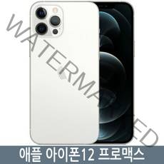 아이폰12 프로맥스 iPhone12 promax 자급제, 256GB, 실버