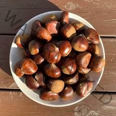 햇 밤 알밤 공주밤 약단밤 생율밤 1kg, [칼집]공주밤 1kg - 삶건나 쪄먹는 밤