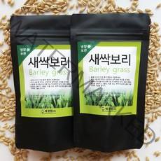 세경팜 새싹보리 씨앗 300g, 2개