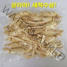 금산 삼이야 난발 세척 수삼 700g 13~15 뿌리 100% 국내산 5년근 6년근 가정용 오크용 홍삼 수삼 난발삼 산지직송, 700g(13~15뿌리), 1개