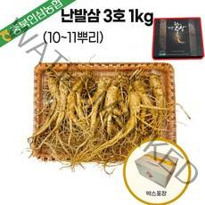 인삼농협 6년근 햇 인삼 수삼 선물세트 3호(대10~11뿌리)1kg 난발삼 설 명절 부모님 건강 효도 선물, 3호( 대 10~11뿌리)