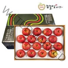 장길영 알뜰사과 5KG 특대과(10-16과) 청송사과 산지직송, 1세트