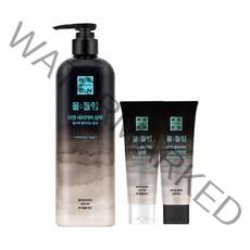 [자연갈색] LG 리엔 물들임 새치커버 샴푸 450ML 1개+ 샴푸 80ML 1개 + 트리트먼트 80ML 1개, 단품